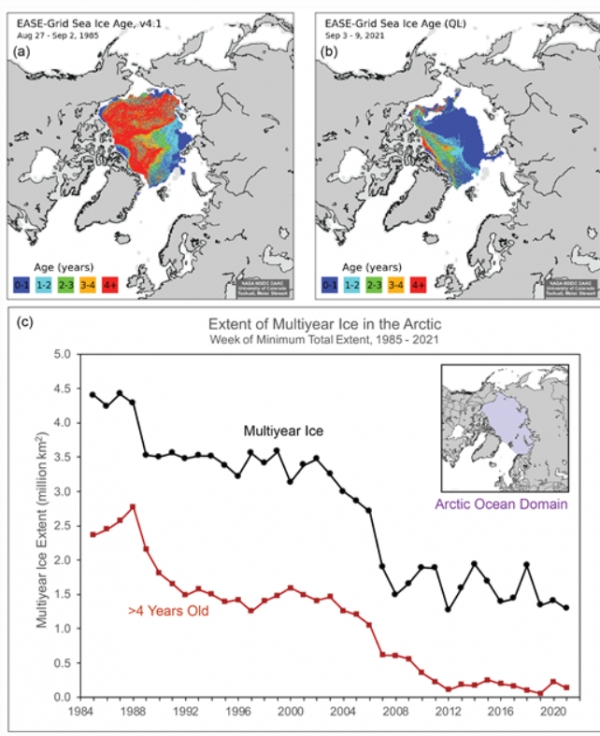 (a) 1985년과 (b) 2021년에 관측된 북극의 얼음 면적과 나이 비교자료. (c) 형성된 이후로 몇번의 여름에서 살아남은 얼음(검정색)이 크게 줄었다. 그 중에서도 4번 이상의 여름을 거친 단단한 얼음의 범위가 크게 줄어 현재 북극해 얼음의 절반이상은 형성된 지 1년도 안 된 얇은 얼음으로 구성된다. (출처: 미국국립해양대기청)