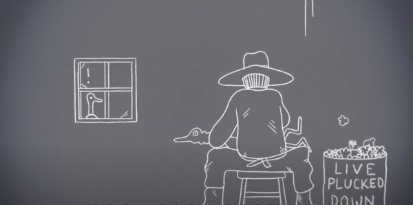 파타고니아 코리아가 제작한 애니메이션 ‘다운의 진실’