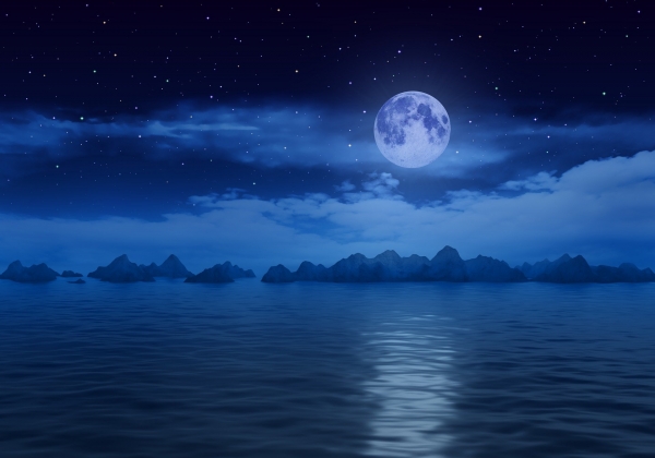 * 푸른 달(Blue moon), Google