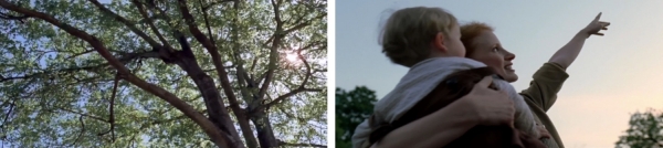 ‘생명수(tree of life)’ 저기가 하나님이 사는 곳이란다.