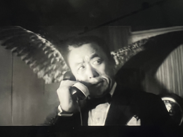박제된 새 날개 사이에 배치된 박사장