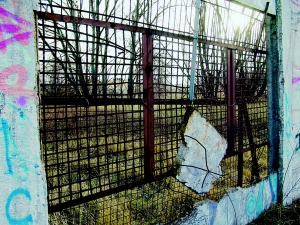 , 2009-도미니크 드 리바