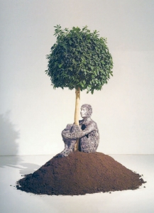 , 2005-좀 플렌사