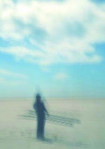  시리즈, 2009-질들마