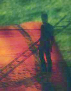  시리즈, 2009-질들마