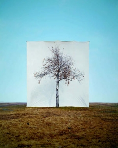 , 2010-마크 허츠가드