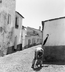 , 1953-데니스 콜롱브