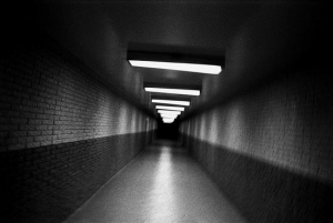 , 2004-파트리샤 아리지스