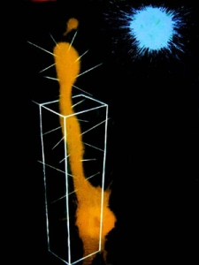 , 2005-안토니 로스 블라스코