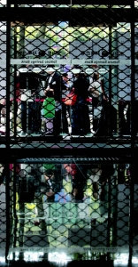 , 2011-신소영