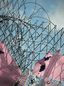 , 2011- 베키 한