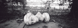  시리즈 중에서, 2006 - 스탠리 그린