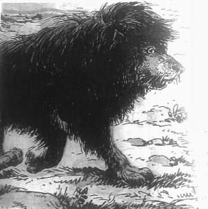 『백만 년 여행』(1955.10.), 183쪽. &nbsp;
