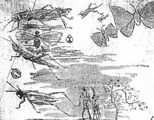 『곤충왕국』(1959.9.), 189쪽.