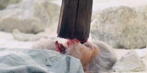 낯선 것을 한층 더 일반적이지 않게 담아내기