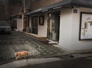 &lt;마포구 합정동 빌라촌에 자리한 르몽드 디플로마티크의 전경&gt;, 2018 - 신영빈