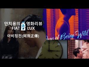 영화리뷰(영화평) &#039;아비정전(阿飛正傳)&#039;