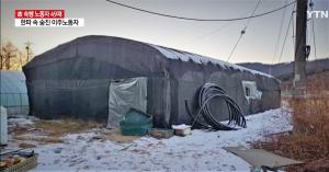 2020년 12월 20일 경기도 포천에서 한 이주노동자가 비닐하우스 숙소에 머무르다 사망했다. 농업 이주노동자들 중 상당수가 열악한 비닐하우스 숙소에서 생활한다. 
“'비닐하우스 사망' 이주노동자 49재..."비극 재발 막아야" “/ ⓒYTN, 2021.02.07