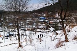 금산의 한 오지마을로 가족을 찾아가는 이들을 봤다. 입춘을 빨리 맞이하는 농촌의 1월은 가족과 음식이라는 중요한 두 가지로 설을 시작하는 셈이다.