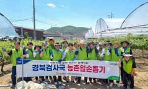 출처 = 농협중앙회 경북검사국