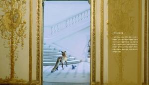 &lt;마니에르 드 부아르&gt; 10호 「동물에게도 시민권을 줄까요?」 본문