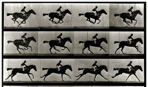 &lt;The Horse in Motion&gt;, 머이브릿지 사진