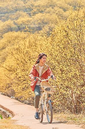 '리틀 포레스트' 스틸컷.