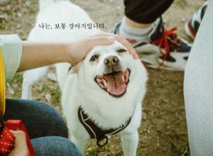 출처=팅커벨프로젝트 