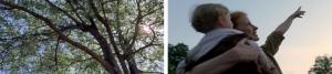 &nbsp; &nbsp; &nbsp; &nbsp; &nbsp; ‘생명수(tree of life)’&nbsp; &nbsp; &nbsp; &nbsp; &nbsp; &nbsp; &nbsp; &nbsp; &nbsp; &nbsp; &nbsp; &nbsp; &nbsp; &nbsp; &nbsp; &nbsp; &nbsp; &nbsp; &nbsp; &nbsp; &nbsp; &nbsp; &nbsp; &nbsp; &nbsp; &nbsp; &nbsp; &nbsp; &nbsp; &nbsp; &nbsp; &nbsp; &nbsp; &nbsp; &nbsp; &nbsp; &nbsp; &nbsp; &nbsp;