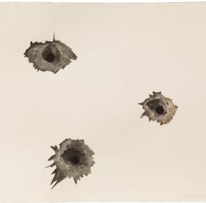 무제 &lt;뒤늦은 뉴스&gt;, 시리즈, 2016 - 타이시르 바트니지
