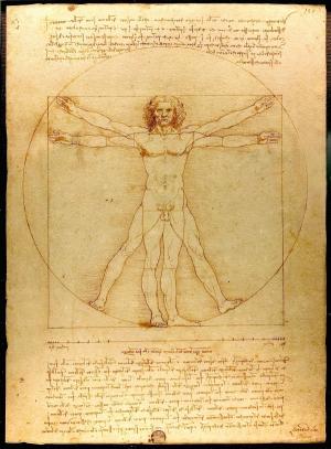 Da Vinci, "L'uomo vitruviano" 34.4×24.5cm (1490)
