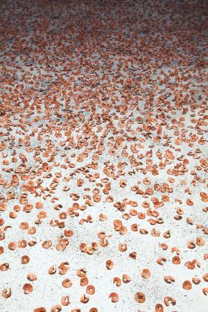 설치 작품 &lt;하눈&gt;(Hannoun)의 세부, 2009 - 타이시르 바트니지