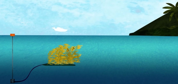 '마린 퍼머컬처' 바다 숲 조성 단순화 그림 ⓒ 마린 퍼머컬처