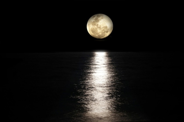 * 달-바다 그리고 울타리, Pixabay