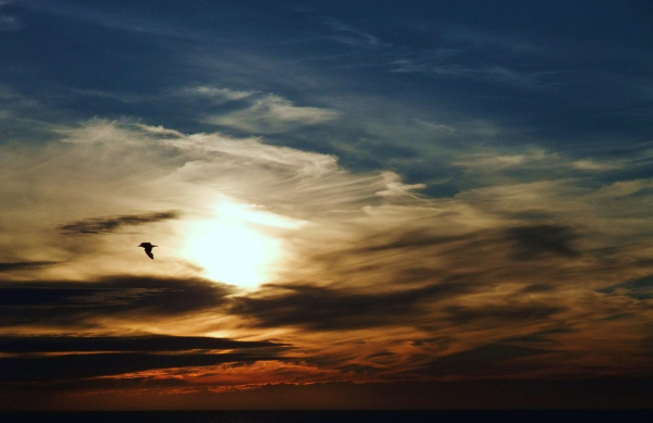 * 하늘의 천, Pixabay